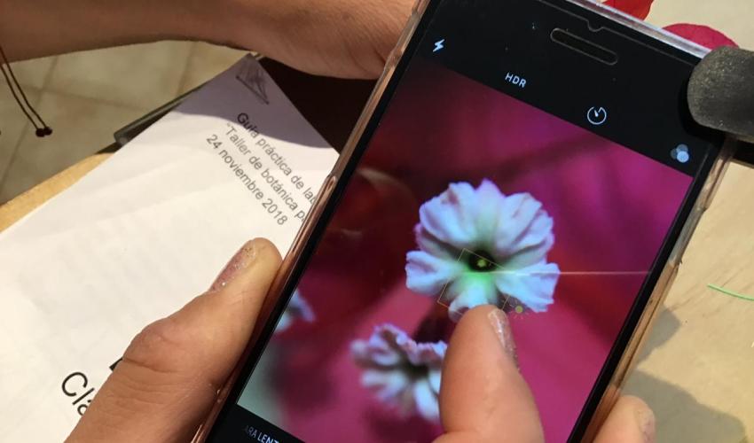 Persona utilizando un lente macro acoplado al celular para fotografiar en primer plano una flor, mientras sostiene una guía de botánica en segundo plano.