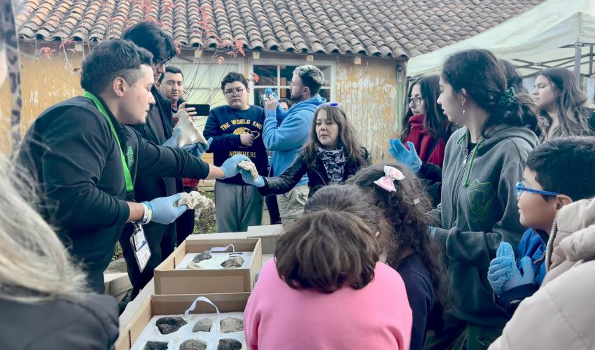 Manipulación de fósiles