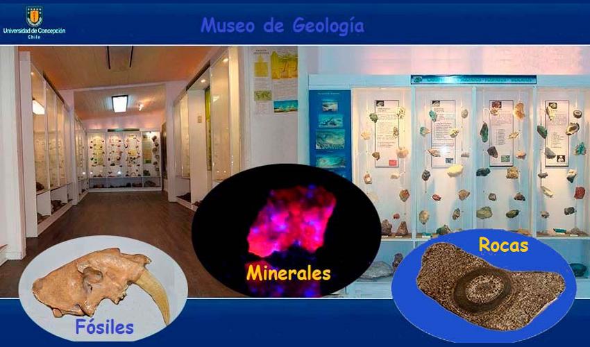 Museo Geológico