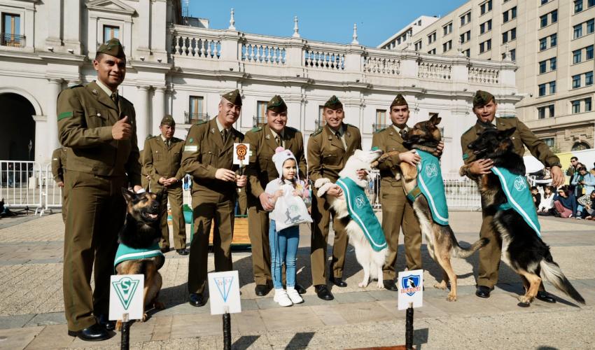 Grupo de Adiestramiento Canino de Carabineros de Chile frente al Palacio de La Moneda