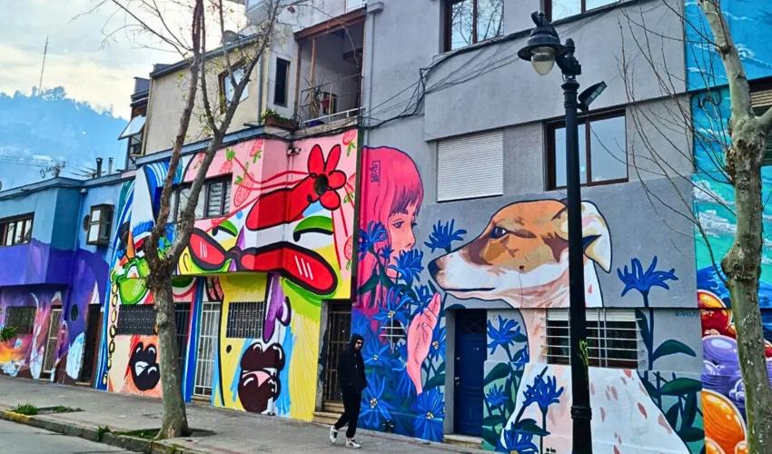 calle en bellavista con coloridos murales