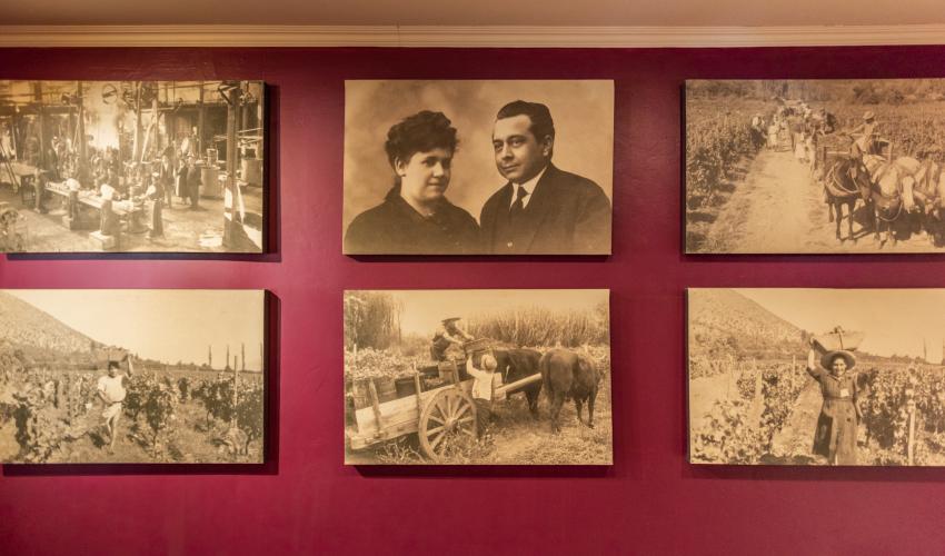 Fotos históricas de Viña El Escorial fundada en 1880