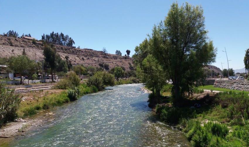 La actividad “Río Huasco, historia y naturaleza” contempla un recorrido guiado por la ribera del Río Huasco, orientado a reconocer su valor histórico, ambiental y cultural como eje vital del Valle del Huasco.