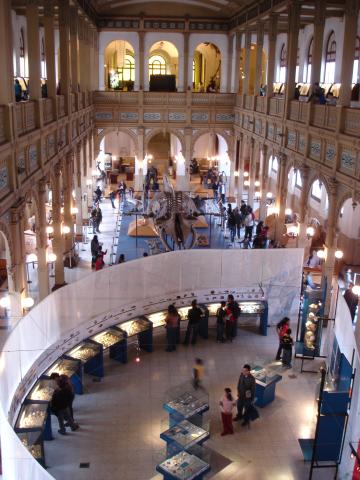 DPC 2006